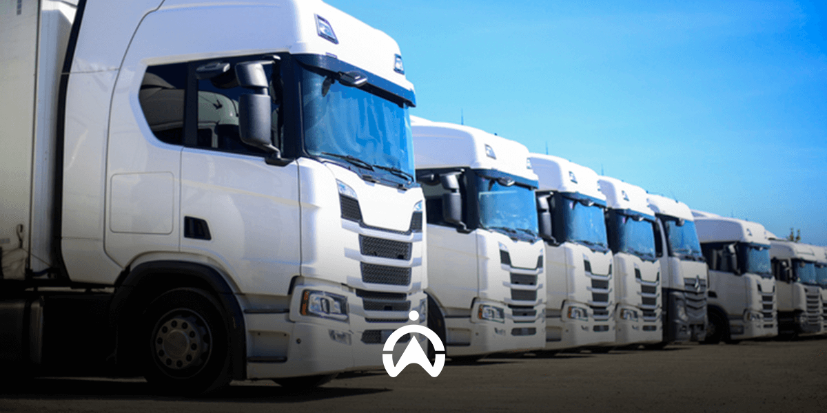 Which_Questions_To_Ask_When_Choosing_A_Fleet_Management_Company