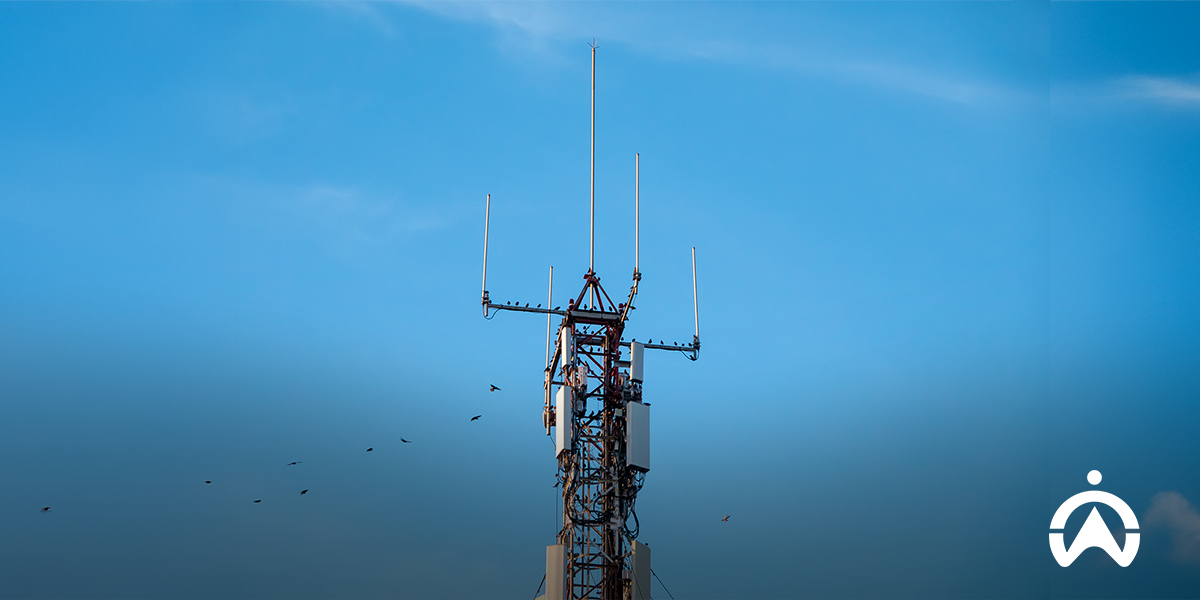A telecommunications tower rises against a clear blue sky, with birds flying nearby. 