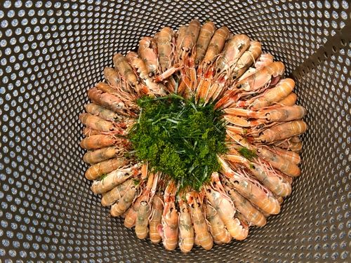 Räkor upplagda med gröna detaljer i mitten