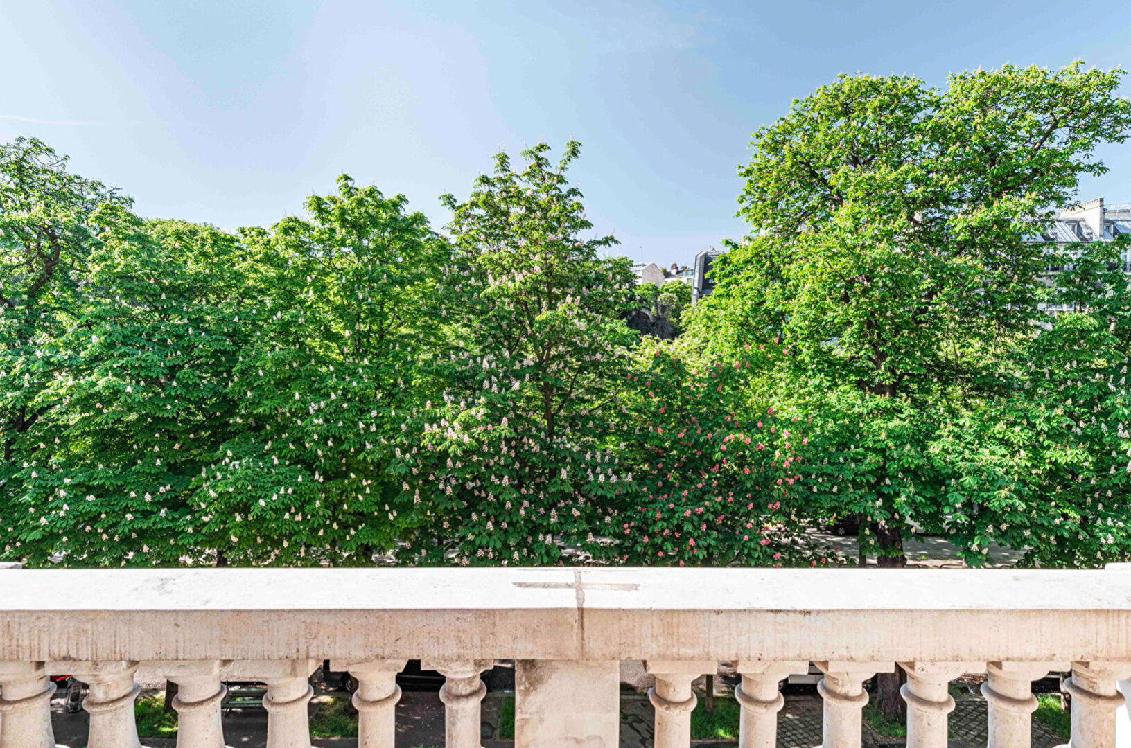 Photo de l'appartement