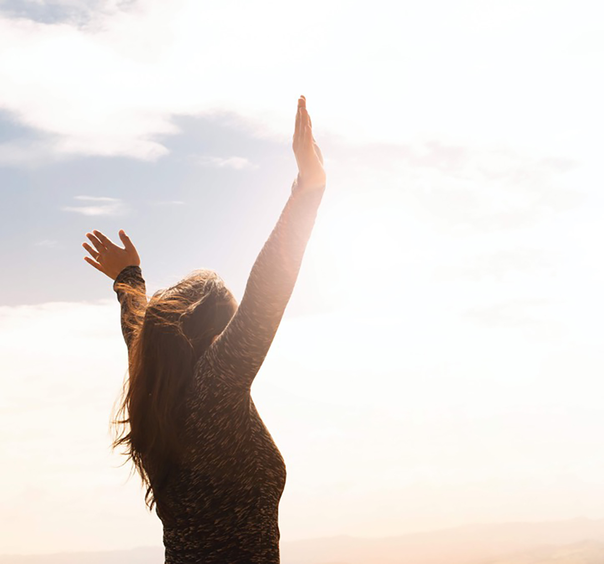 Comprehensive Services Guide