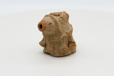 Small Animal