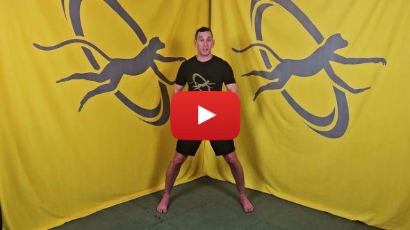 Movements of the Spine