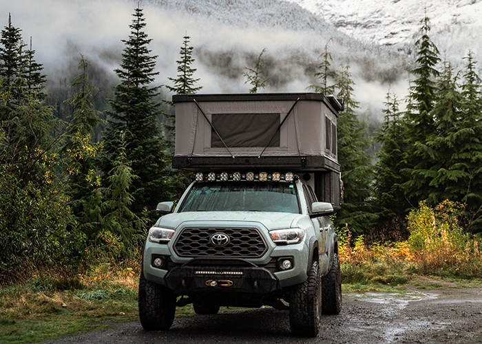 Bear camping in Washington