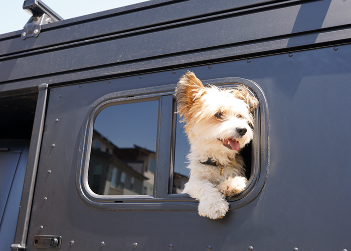 truck camper with ventilation