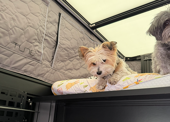 truck camper with queen-size bed