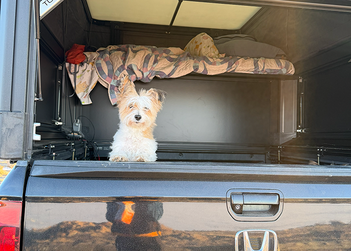 truck camper with truck bed access