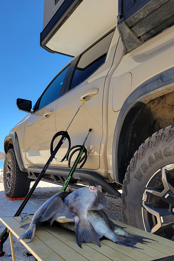 spearfishing in baja