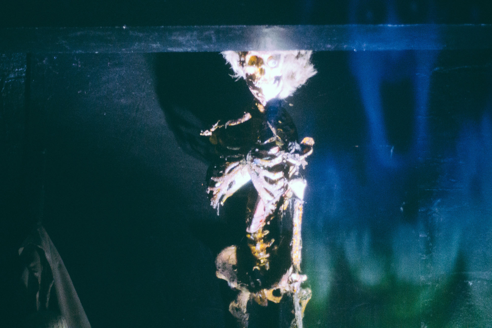 Halloween, photo by Jonathan Graves