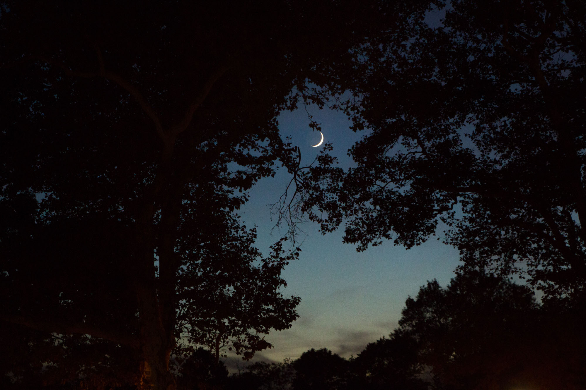 The moon, photo by Jonathan Graves