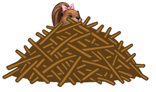 The Beaver Dam, coming soon software