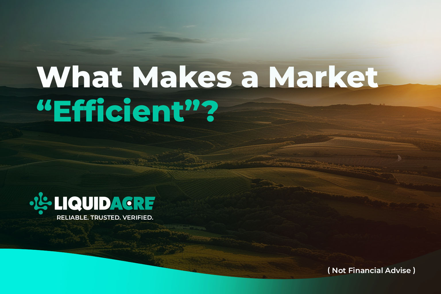 What Makes a Market “Efficient”?