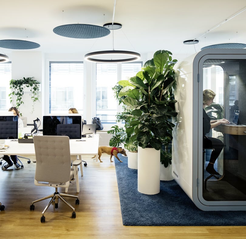 Flexvelop Dashboard Preview Desktop