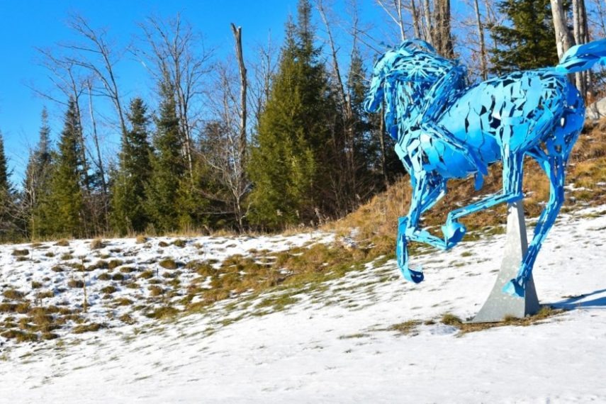 Haliburton Sculpture Forest
