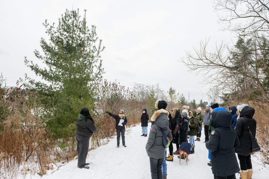 Beginner Winter Tree Tour at Elm Park
