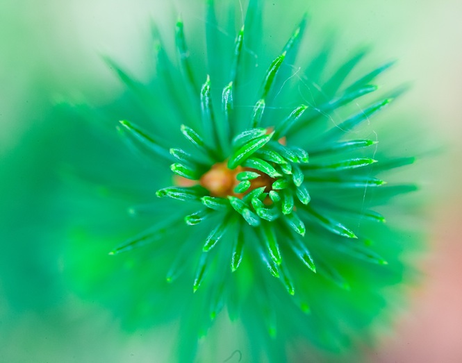 Data visualization and storytelling