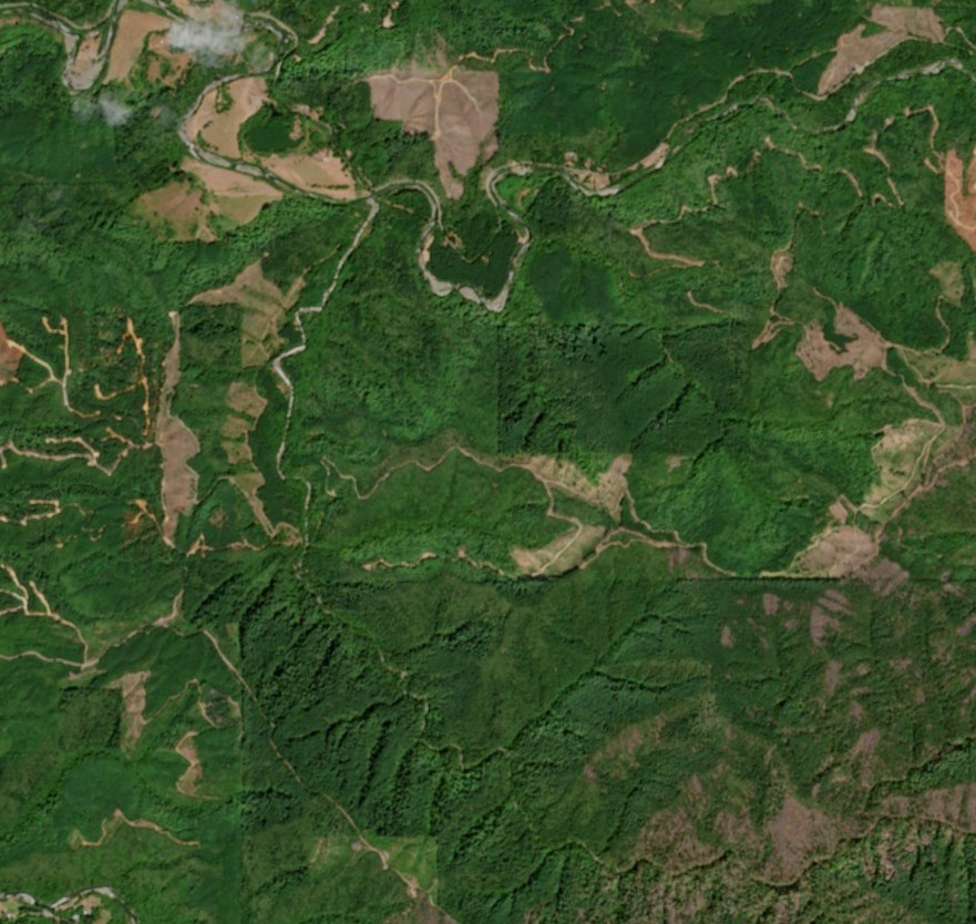 Sentinel-2 true-color imagery of managed and unmanaged forest along the Sixes River, Rogue River–Siskiyou National Forest, Oregon
