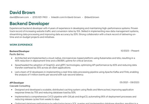 16+ Backend Developer Resume Examples [with Free Templates]