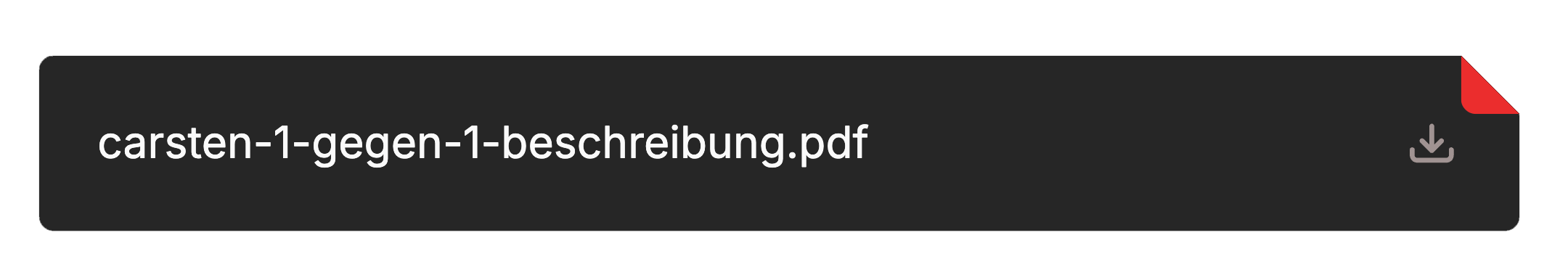 Beschreibungsbereich unter dem Video mit PDF-Download