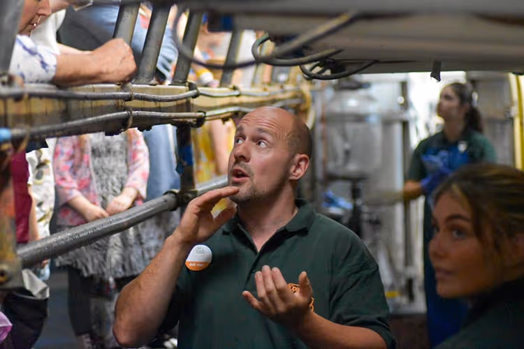 Open Farm Sunday visitors pledge to buy British food