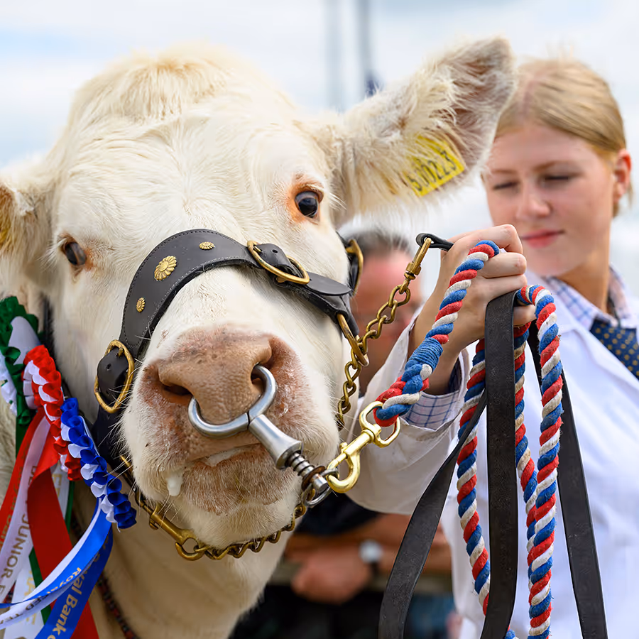 BMR CELEBRATES A SUCCESSFUL ROYAL HIGHLAND SHOW 2025
