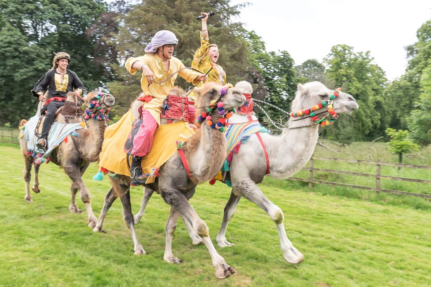 CAMELS COME TO KELSO FOR BORDER UNION SHOW