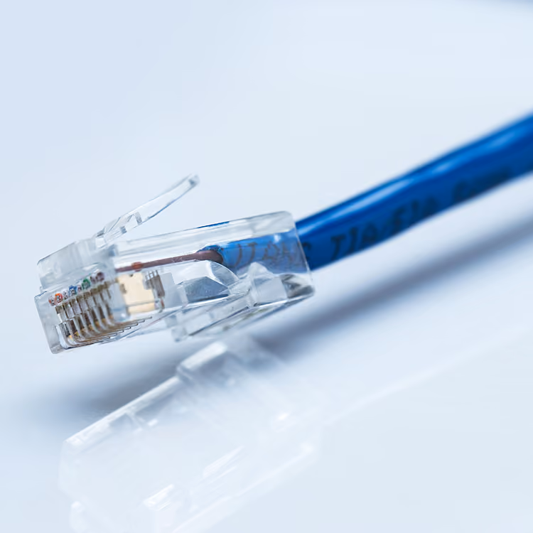 SCOTTISH LAND & ESTATES CALLS MPs TO IMPROVE RURAL CONNECTIVITY AND PUT COMMUNITIES FIRST