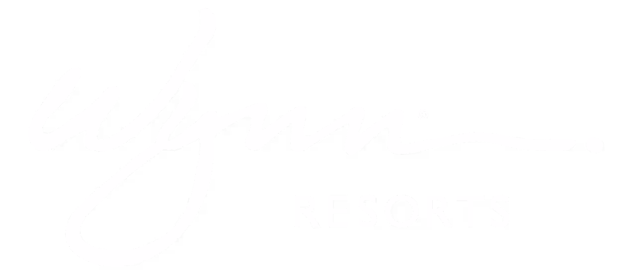 wynn