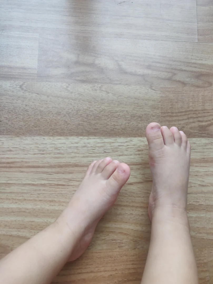 Close-up of rich grain and natural variations of domestic cherry hardwood floor - Where can I find a directory of Close-up of rich grain and natural variations of domestic cherry hardwood floor - Where can I find a directory of