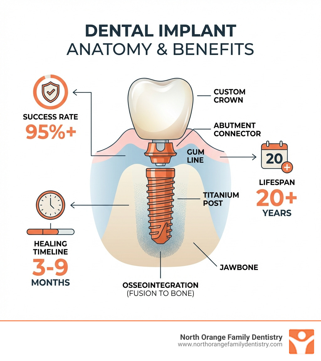 Infographic showing the anatomy of a dental implant: titanium post fused to jawbone via osseointegration, abutment connector above gum line, and custom crown on top — with labels showing 20+ year lifespan, 95%+ success rate, and 3-9 month healing timeline - New teeth implants infographic Infographic showing the anatomy of a dental implant: titanium post fused to jawbone via osseointegration, abutment connector above gum line, and custom crown on top — with labels showing 20+ year lifespan, 95%+ success rate, and 3-9 month healing timeline - New teeth implants infographic