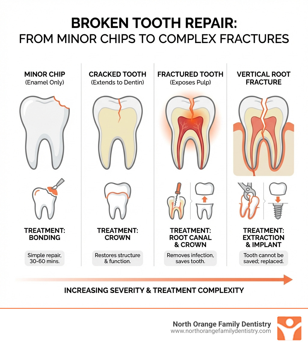 infographic showing types of tooth fractures from minor chip affecting only enamel, to cracked tooth extending to dentin, to fractured tooth exposing pulp, to vertical root fracture, with visual diagrams of each type and corresponding treatment options including bonding for chips, crowns for cracks, root canal plus crown for exposed pulp, and extraction plus implant for vertical fractures - broken tooth repair infographic infographic showing types of tooth fractures from minor chip affecting only enamel, to cracked tooth extending to dentin, to fractured tooth exposing pulp, to vertical root fracture, with visual diagrams of each type and corresponding treatment options including bonding for chips, crowns for cracks, root canal plus crown for exposed pulp, and extraction plus implant for vertical fractures - broken tooth repair infographic