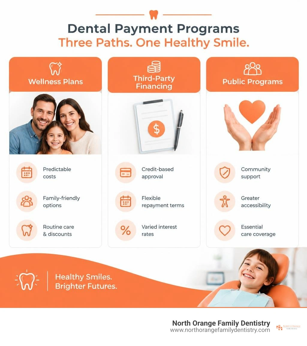 Infographic comparing wellness plans, third-party financing, and public programs infographic Infographic comparing wellness plans, third-party financing, and public programs infographic