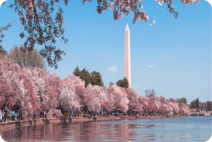 Cloud Gate sculpture, also known as The Bean, reflecting surrounding buildings and people in Millennium Park, Chicago.