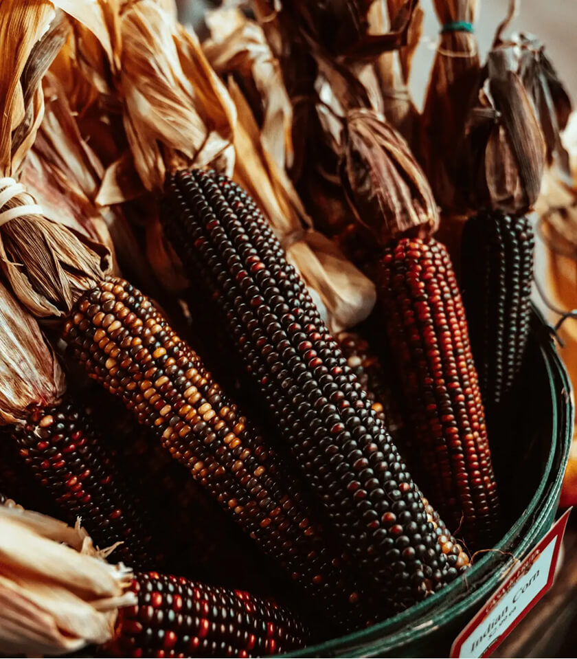 Thanksgiving church celebration ideas
