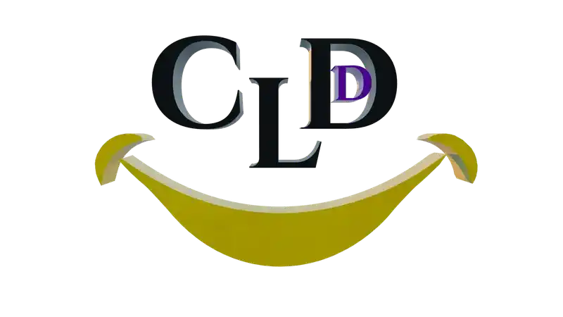 Developer
