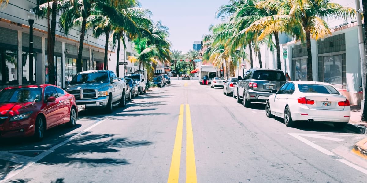 Palm tree-lined street with cars parked along the curb in Florida