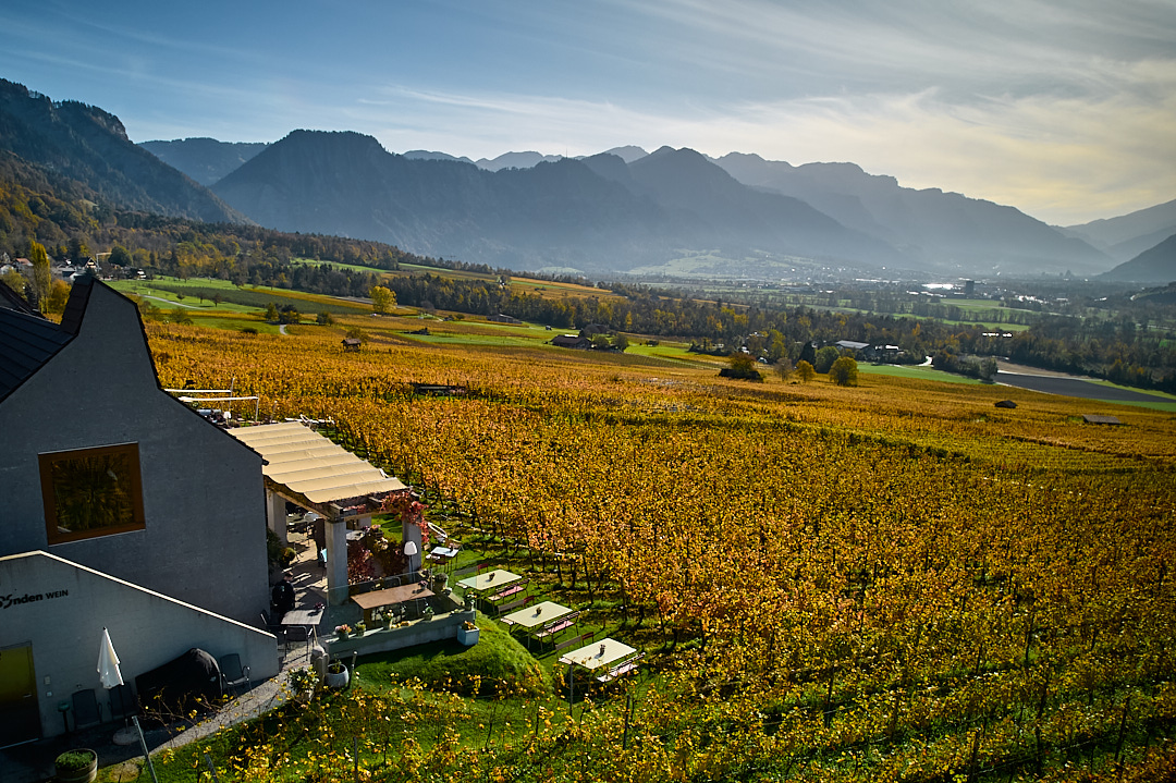 Weingut mit Gästezelt und Sonnenschirmen umgeben von grünen Weinreben in einer Berglandschaft bei Sonnenuntergang.