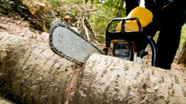 Entrümpelung Herford 