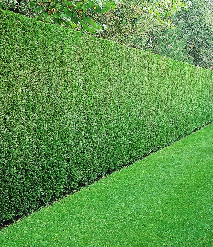 Entrümpelung Herford 