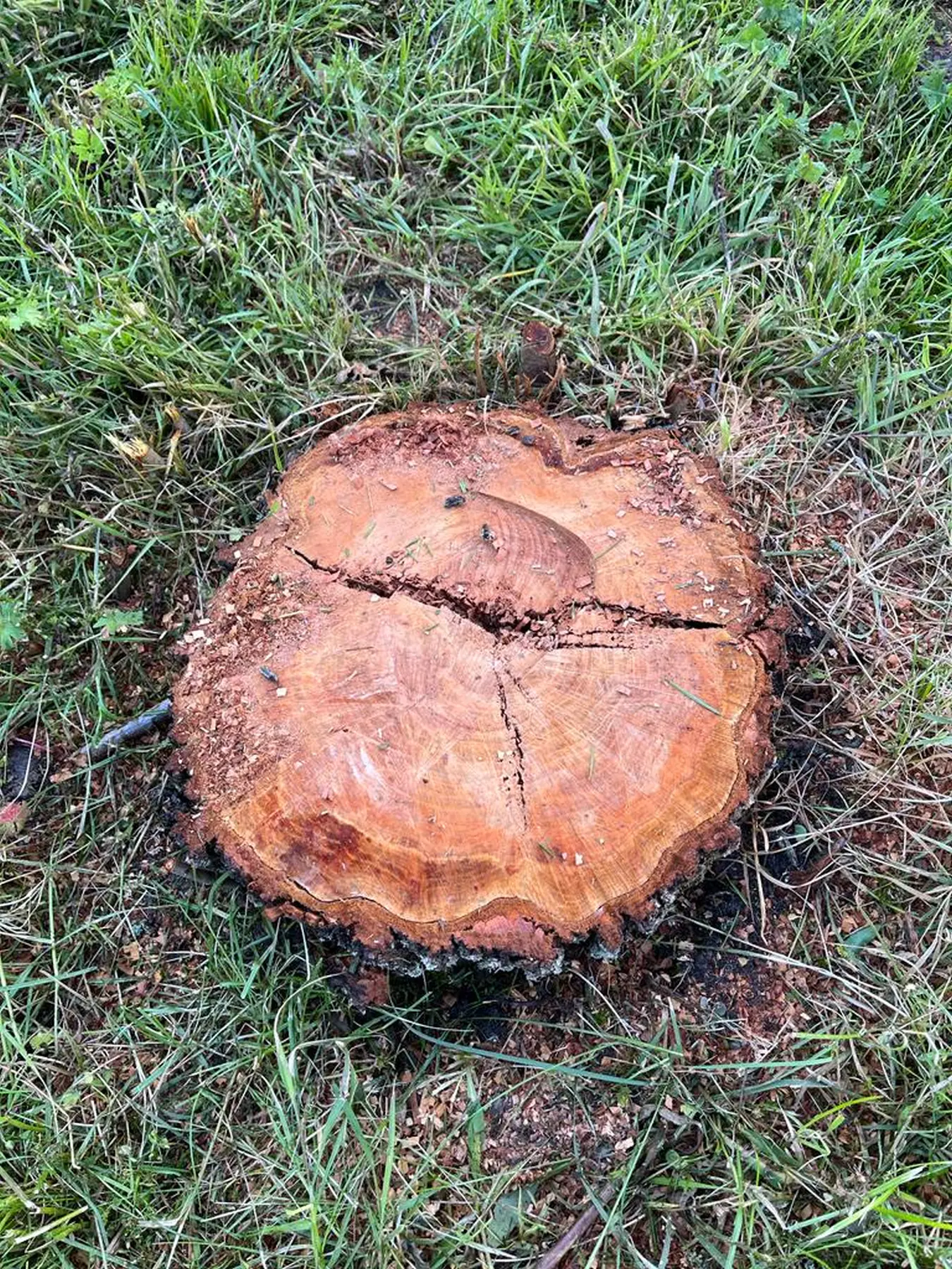 Entrümpelung Herford 