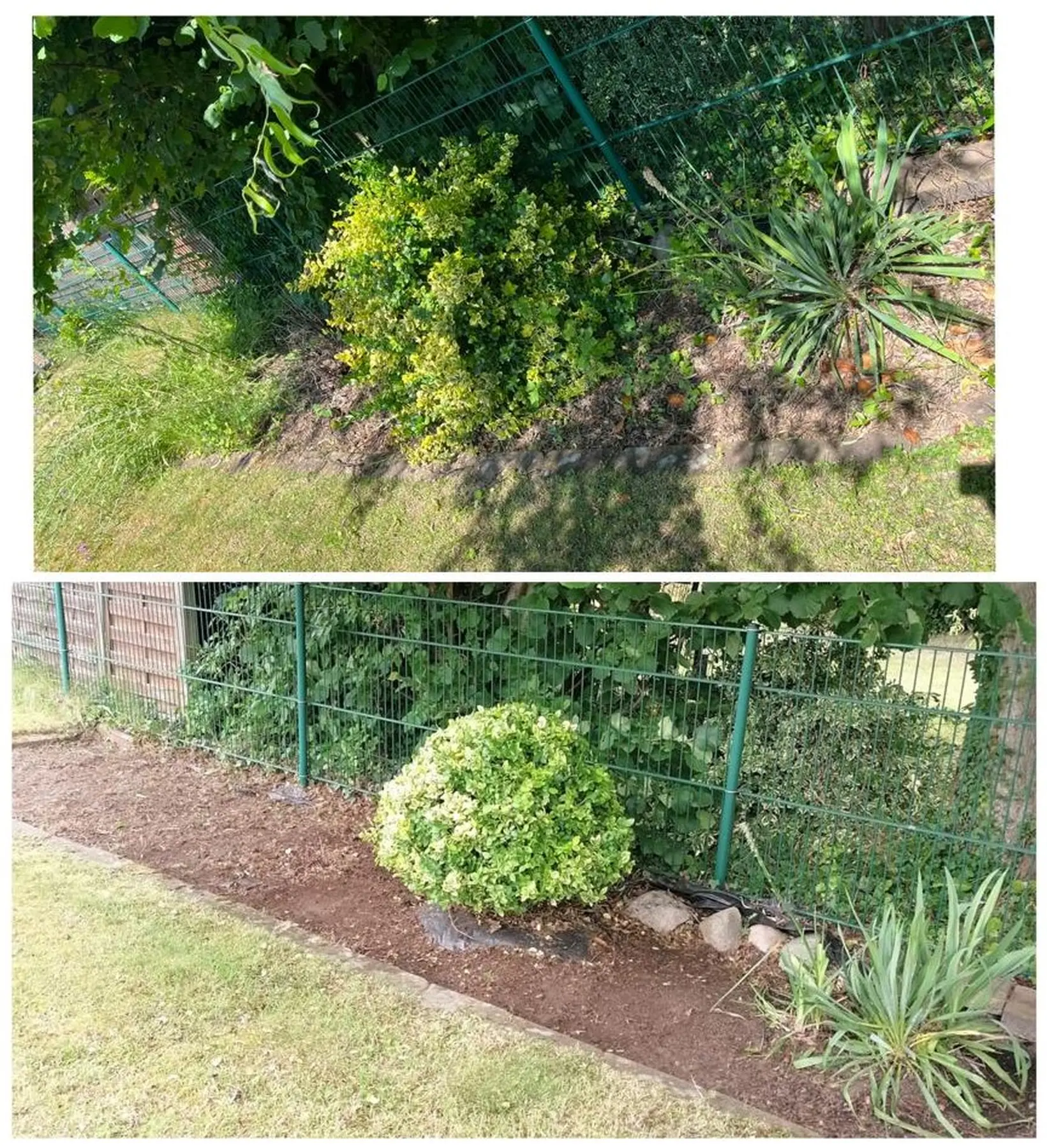 Renovierungsarbeiten 