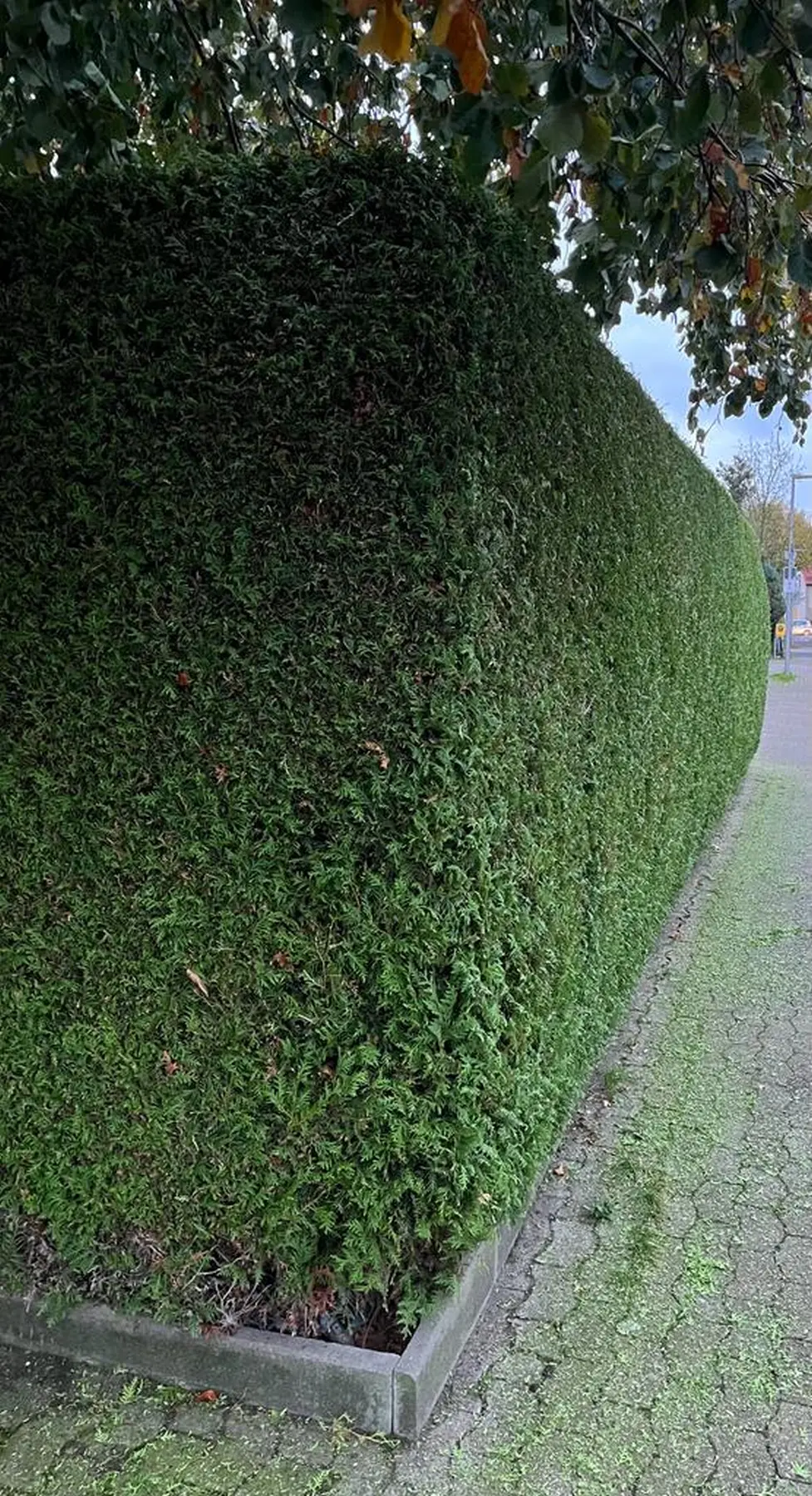 Zaun Aufbau arbeiten 