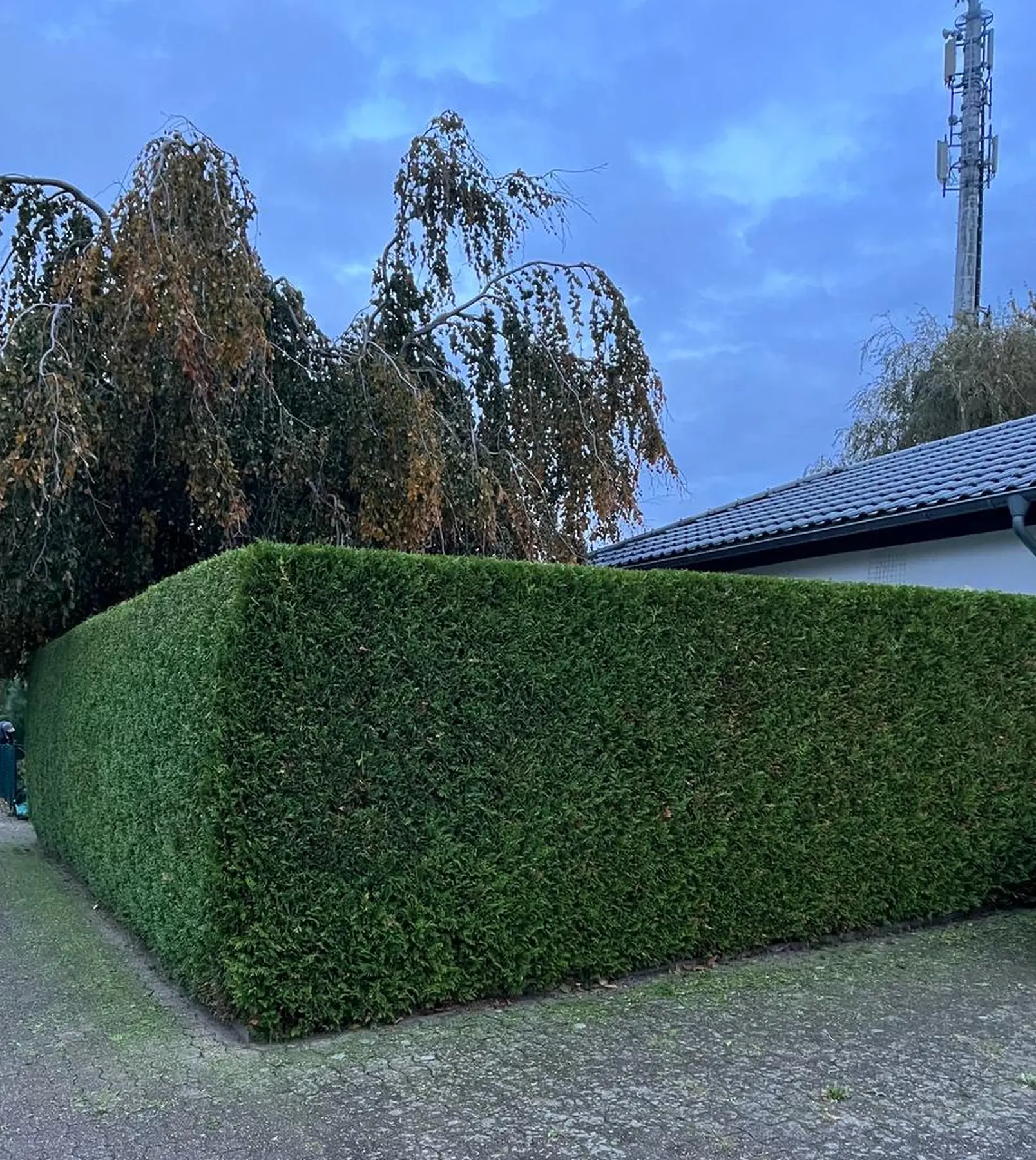 Entrümpelung Herford 