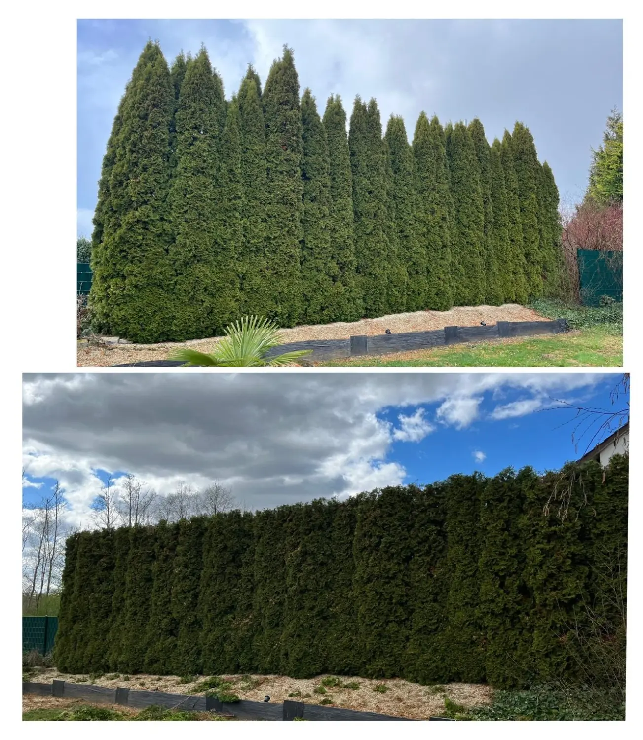 Entrümpelung Herford 