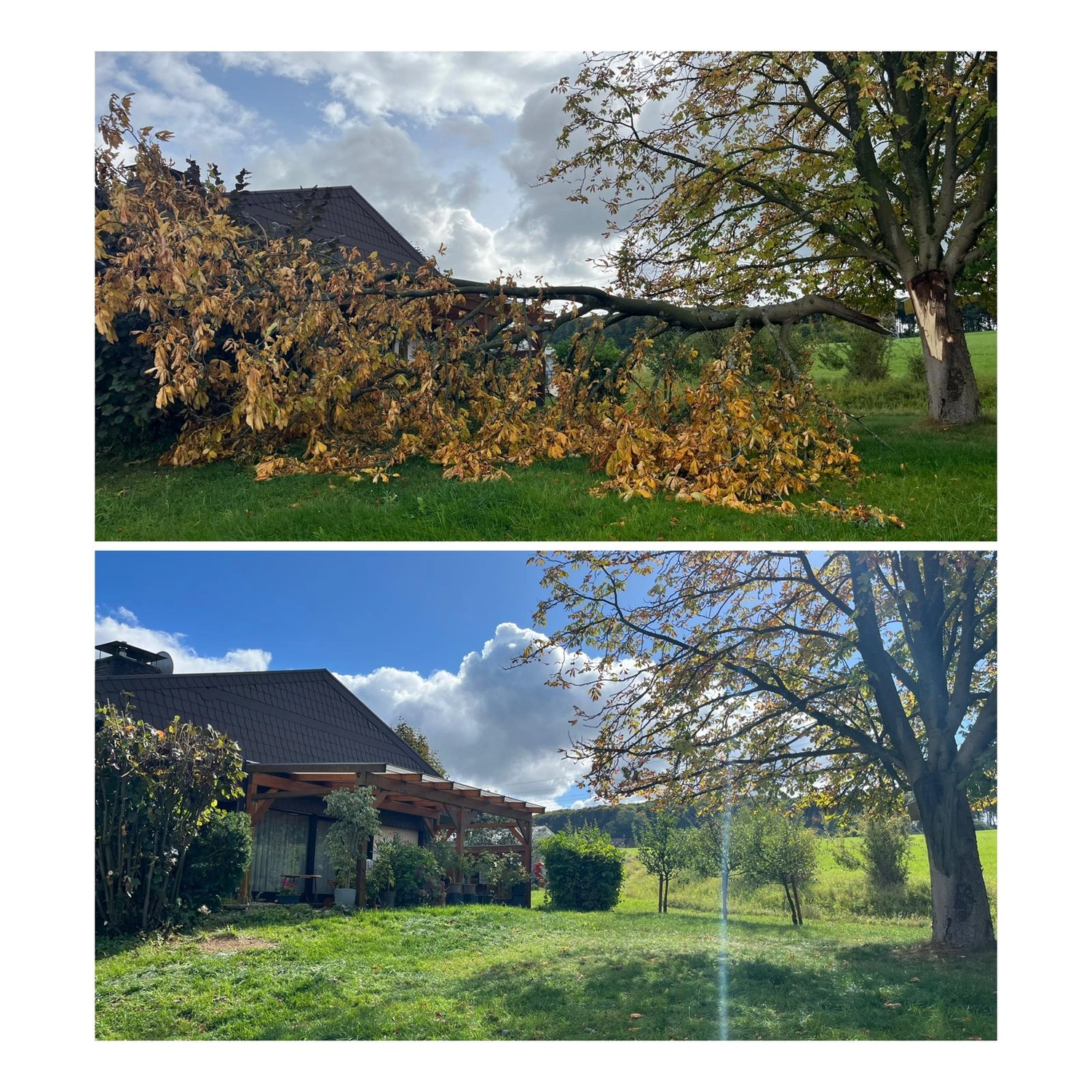 Entrümpelung Herford 