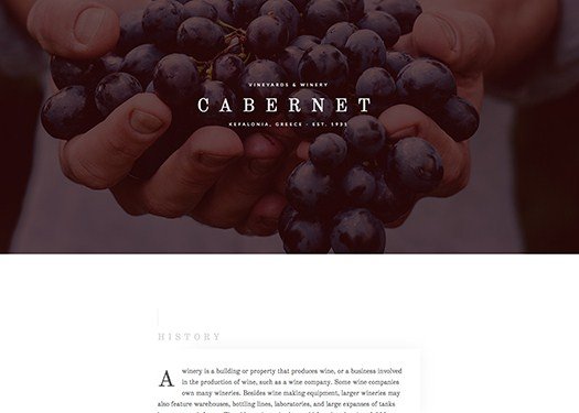 Elementorism Cabernet Landing Page Elementorism Cabernet Landing Page