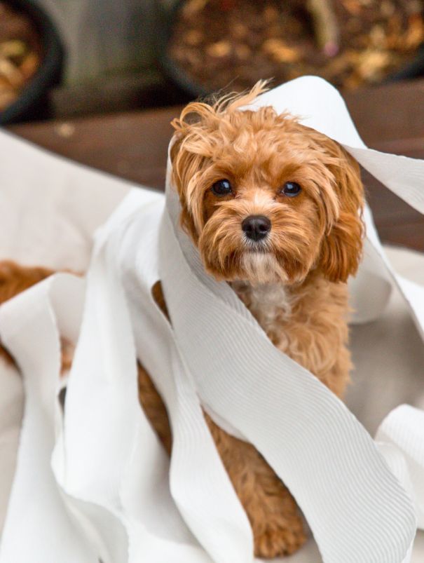 Woman at insurance company with laptop