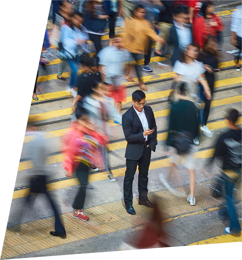 speed bss oss compagy triPIca