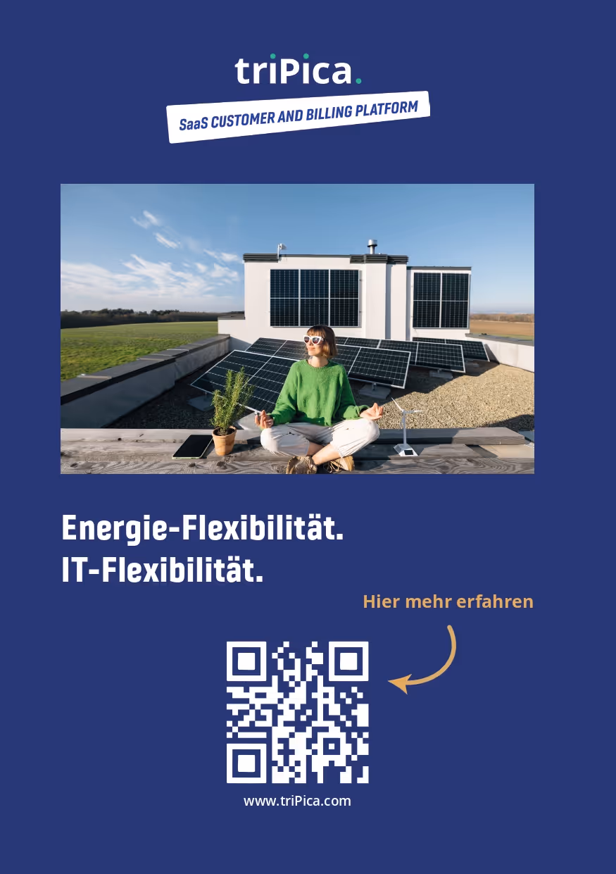 Brochure triPica GER6