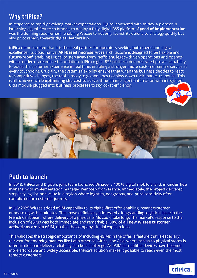 Wizzee_case_study_triPica_ENG3